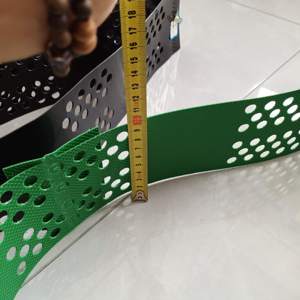Griglia Geocellulare in HDPE da 100mm per Stabilizzazione Ghiaia, per Giardini, Terreni Agricoli, Vialetti e Strade con Alta Resistenza alla Trazione - Product Image 1