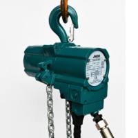 Monte-charge à chaîne pneumatique antidéflagrante, ATEX, capacité de 250kg, 500kg, 1000kg