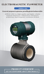 Débitmètre électromagnétique Yokogawa, capteur de débit magnétique AXG500 AXG600 AXG700 AXG800 AXG900 AXG1000 - Product Image 2