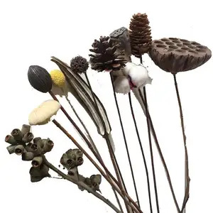 Idéias de novos produtos 2023 auchentoshan Eucalyptus Leaves Pine Cones Lotus Algodão Flores Secas Flor para aromaterapia difusor