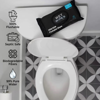 Fabricant de lingettes humides personnalisées pour votre marque, 48 lingettes extra-larges à base de plantes, jetables pour hommes et adultes