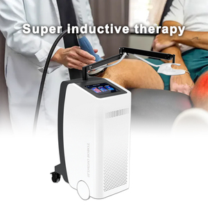 Terapia de Pulsos Magnéticos, Magnetoterapia, Rehabilitación Física, Alivio del Dolor Articular por Artritis, Máquina PEMF - Product Image 6