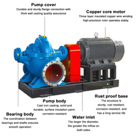 Bewässerungspumpe mit Hoher Durchflussrate, Zentrifugal 220V/380V, Horizontal Geteiltes Gehäuse, Doppelsaug-Wasserpumpe für die Landwirtschaft