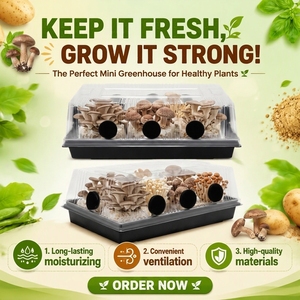 Grand kit de culture de champignons en chambre d'air stérile pour la culture d'huîtres, idéal pour les débutants - Product Image 1