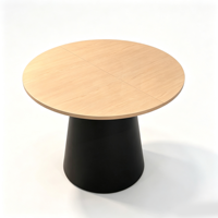 Table basse en métal durable, structure en fer, design moderne, couleur personnalisable, usage commercial pour salon