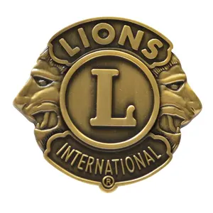 Customer Design Lion club metal coin stamping souvenir challenge coins