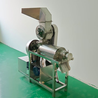 Zware uitvoering Malediven Mannelijke Guave Wortel Appel Citroen Spiralen Sap Fruitpulp Machine