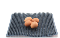 Nouvel état poulet volaille oeuf nid bionique coussin en plastique oeuf tapis Protection