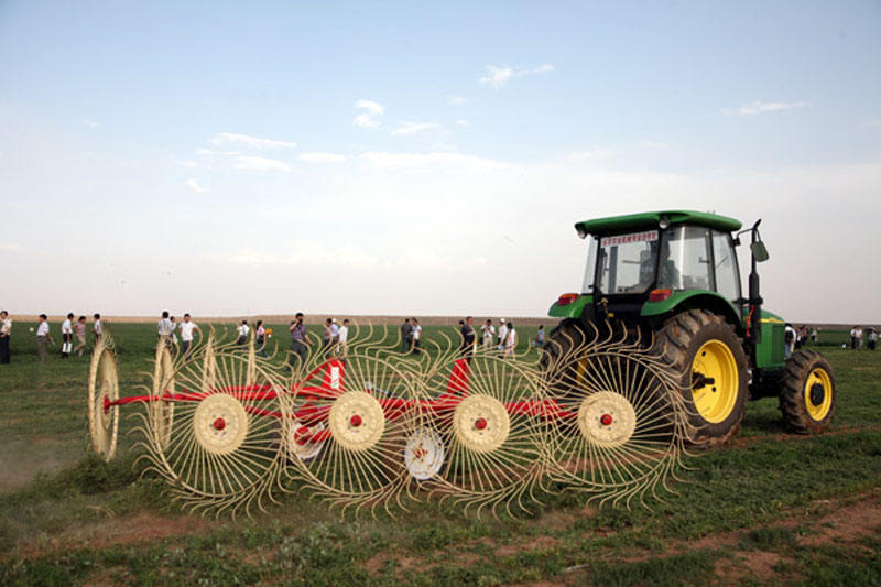 Disk Hay Rake Tractor-Mounted Disc Harrow and Hydraulic Hay Rake Grass Collection 4/6 ...