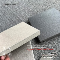 Carrelage en pierre de quartz finition mate 18 mm, antidérapant, antibactérien, pour sols de jardin et de parc