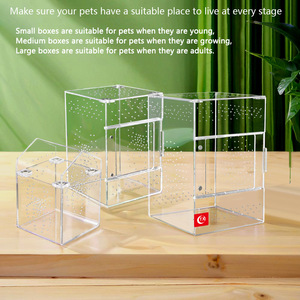 Nouvelles cages en acrylique pour tarantules, enclos d'élevage pour reptiles, berceaux pour araignées avec toit - Product Image 3