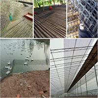 PP Structuur Waterdicht Zwart Ecologisch Draagbaar Opvouwbaar Vogelwerend Net UV-Gestabiliseerd Vierkante Gaten Gewoon Weefsel Tuinen