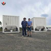 Silo di Stoccaggio per Container da 30 Tonnellate 50T Silo Orizzontale Mobile per Cemento in Vendita