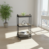Table basse noire en bois et acier inoxydable, design moderne doré, avec rangement latéral, personnalisable, livraison rapide, pour commandes en gros, décorative