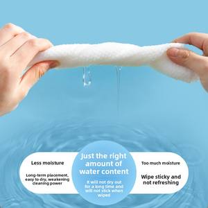 ทิชชู่เปียกกำจัดกลิ่นสำหรับสัตว์เลี้ยงแบบไม่ต้องซักแบบใช้แล้วทิ้ง60แผ่นสำหรับทำความสะอาดและดูแลขนแมวอุปกรณ์ฝึกสัตว์เลี้ยง - Product Image 3