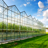 Serres industrielles multi-travées à ossature galvanisée à chaud, soudées par ERW, pour jardin potager – Meilleur prix usine