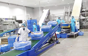 Thiết bị 1-5 tấn/giờ cho dây chuyền sản xuất nước ép cam, chanh, các loại quả họ cam quýt và bưởi quy mô nhỏ - Product Image 3