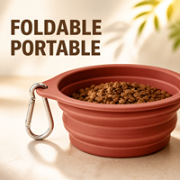 Bol pliable pour chien en silicone de qualité alimentaire, abreuvoir de voyage pliable pour animaux de compagnie avec mousqueton pour le camping en plein air, la randonnée et les chiens