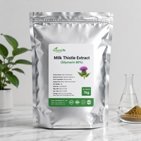 Extrait de Chardon-Marie (Silybum Marianum) 80% Silimarines HPLC/UV – Poudre d'extrait de Chardon-Marie de haute pureté pour la détoxification et le soutien hépatique