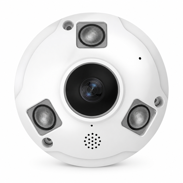 12MP 360 Degree Fisheye Panoramic IP Camera PoE Outdoor CCTV Security Camera IP66 Vandal Proof IR Night Vision WDR H.265 SD Card