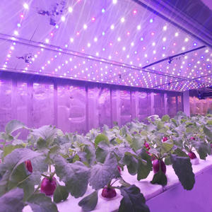 UNO-uno Sistema de germinación de hierba forrajera automática Granja de contenedores hidropónicos para forraje - Product Image 6