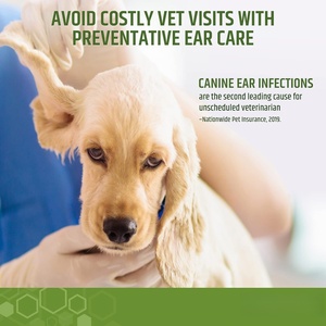 OEM Custom 100 Lingettes nettoyantes pour oreilles de chien <span class=keywords><strong>Nettoyant</strong></span> <span class=keywords><strong>otic</strong></span> doux et efficace à l'aloe eucalyptus pour le soulagement des démangeaisons infectieuses - Product Image 3