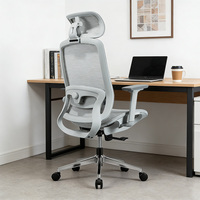 Chaise de bureau ergonomique moderne de haute qualité avec coussin lombaire en mousse à mémoire de forme 2D
