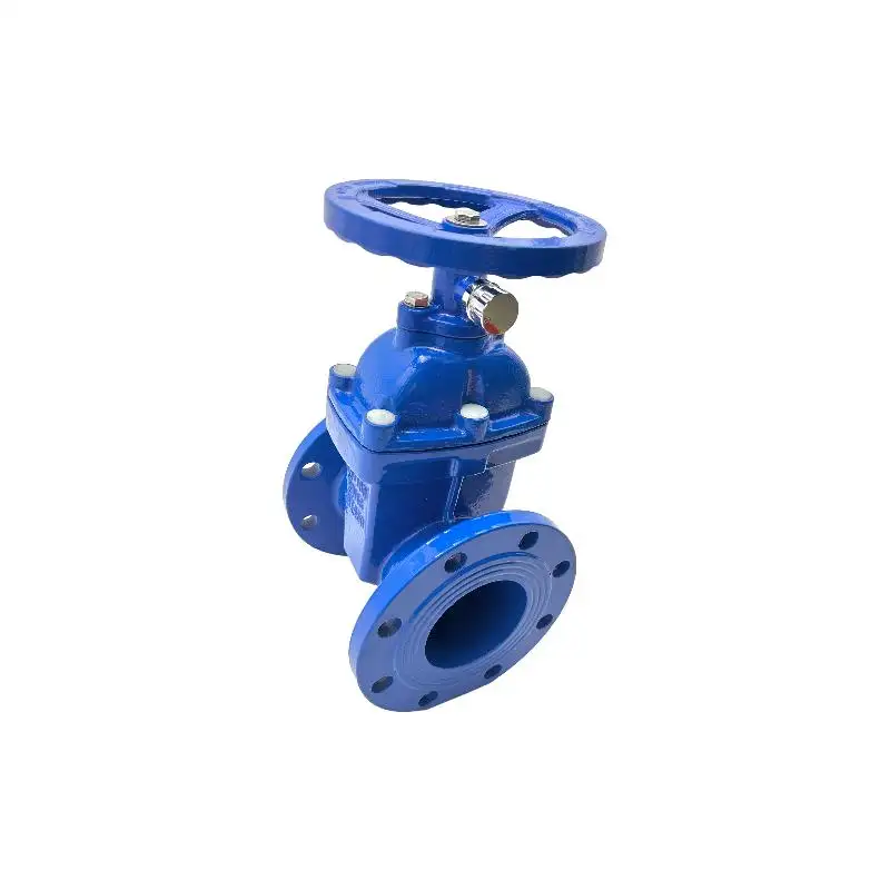 Toptan fabrika pn16 160 dn100 popo kaynak biter döküm vücut petrol sahası wellhead çamur 4 inç giriş valfi fiyat