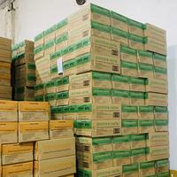 24 Pièces par Carton, Boissons Gazeuses 350ml en Bouteille PET, 24 Canettes, Saveur Pomme, Boisson Gazeuse Classique, Certifiée HACCP / ISO22000