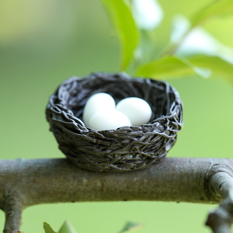 colorful A birds nest (excluding eggs)