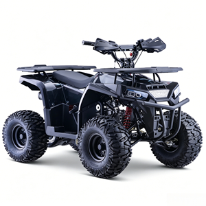 <span class=keywords><strong>Quad</strong></span> ATV 110/125/140CC directement de l'usine, cadre en acier chromoly, tout-terrain, 4 roues, pour enfants et adultes - Product Image 5