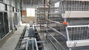 Cages à poulets en métal galvanisé à chaud pour élevage avicole, type A, <span class=keywords><strong>cage</strong></span> commerciale inclinée avec échelle pour <span class=keywords><strong>poules</strong></span> pondeuses - Product Image 5