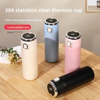 Bouteille d'eau intelligente avec affichage de la température, thermos en acier inoxydable à isolation sous vide, LED, pour la salle de sport, le fitness, le bureau, la maison, les voyages
