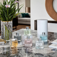 Vente en gros de parfum d'hôtel pour la maison de luxe pour le désodorisant Aroma Diffuseur de roseaux de parfum d'huile essentielle sans feu pour la maison