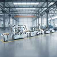 Machine d'emballage entièrement automatique pour aliments et sacs, haute productivité, remplissage, bouchage et étiquetage – Offre Spéciale