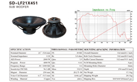 Caisson de basses d'usine OEM Haut-parleur de basses 21 pouces