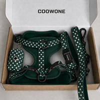 Harnais pour chien personnalisé, ensemble de harnais réglable pour animaux de compagnie, collier et laisse pour chiot, harnais anti-traction pour chien, services de personnalisation