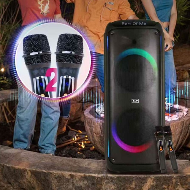 Dual 12 Inch Karaoke Bt Speaker Dj Party Usb Portable Woofer Speaker with Microphones Rgb Light High Power 150w Speaker Bts-2125