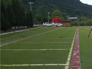 HDPE PP แผ่นแพด๊อกจอดม้าตะแกรงพื้นแบบอุตสาหกรรมสำหรับการเสริมแรงทางรถในสวนหญ้าที่จอดรถหลังคาสวนเขื่อน - Product Image 5