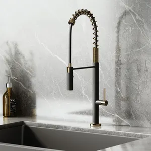 Kitchen Faucet Factory 2023 New Luxury Design Pull Down Spray Brass Kitchen Faucet Tap
