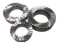 Noyau axial personnalisé / Stator axial en acier au silicium auto-adhésif pour moteur axial