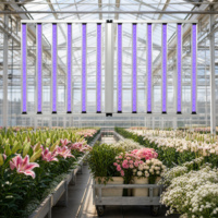 Kruiden, bladgroenten, fruit, bloemen, IP65 gecertificeerde 1300W opvouwbare driekanaals full spectrum kweeklamp voor commerciële kwekers
