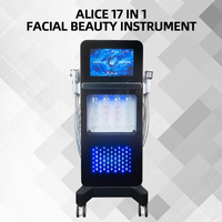 Appareil de gestion cutanée du visage à 17 poignées, avec jet d'oxygène vertical, hydradermabrasion et aspiration, pour salons de beauté et spas