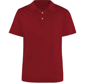 Cotone Premium 100% per <span class=keywords><strong>Polo</strong></span> traspirante resistente agli odori caratteristica antibatterica Comfort quotidiano - Product Image 2