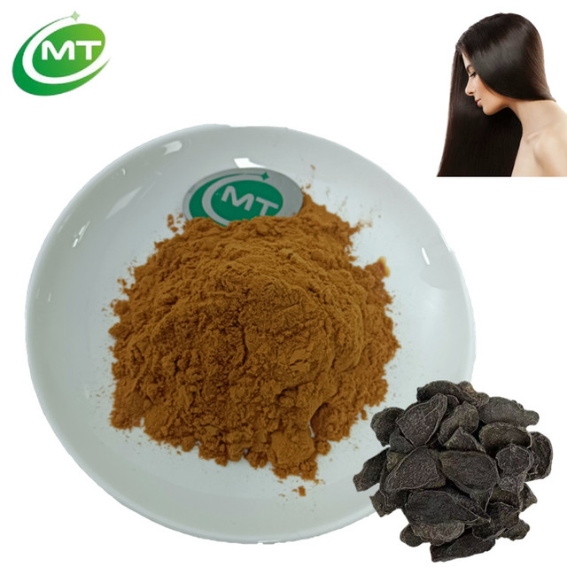 High Quality Traditional Chinese Hair Health Herbal Extract Ho Shou Wu Extract