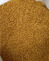 Thé de sarrasin jaune torréfié pour la santé et la minceur, thé aux herbes de sarrasin tare naturel, fourni directement par l'usine