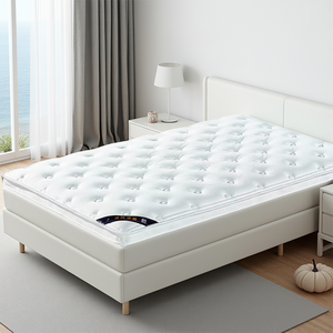 <span class=keywords><strong>Materassi</strong></span> 2025 Nuovi a Prezzo di Fabbrica, Morbidi e Confortevoli, Pieghevoli e Arrotolabili per Hotel e Dormitori a Prezzo Conveniente - Product Image 1