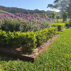 Corten Steel Landscape <b>Edging</b> for Outdoor Yard and Pathway Decoration - Product Image 3