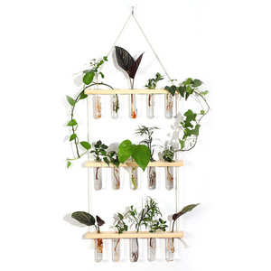 Wall Mounted Wooden Plant Rack With Glass Hydroponic Test Tubes For Indoor Greenery Decor - Product Image 2
