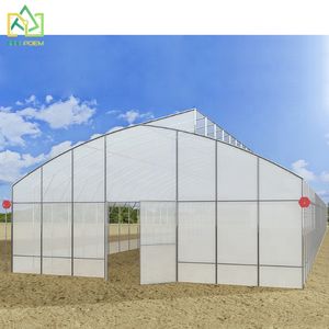 Grande serre agricole personnalisée Double système hydroponique intégré en PE pour la culture de fraises Serre en polycarbonate - Product Image 3